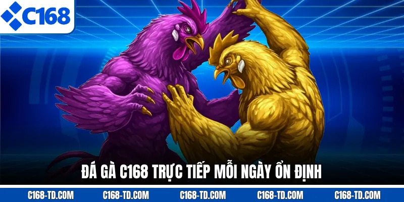 Đá Gà C168 Trực Tiếp Mỗi Ngày Ổn Định