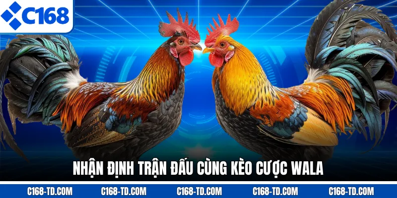 Nhận Định Trận Đấu Cùng Kèo Cược Wala