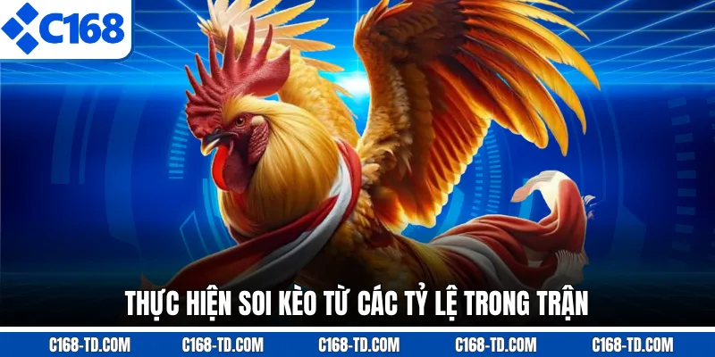 Thực Hiện Soi Kèo Từ Các Tỷ Lệ Trong Trận